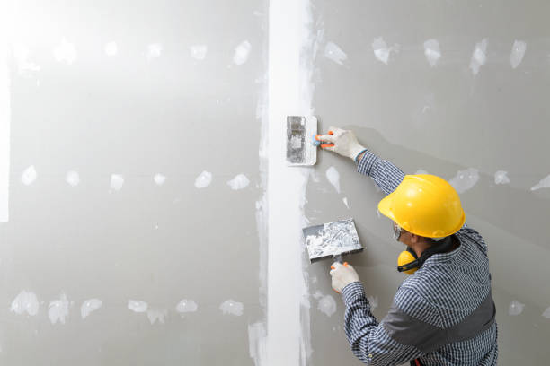 Best Drywall Texturing  in Hanapepe, HI